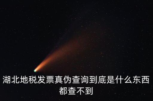 湖北地稅發(fā)票真?zhèn)尾樵?xún)到底是什么東西都查不到