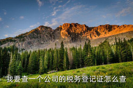 如何查詢稅務(wù)登記表，稅務(wù)登記證查詢