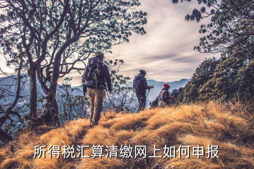清稅申請如何在云稅廳申請，網(wǎng)上企業(yè)所得稅匯算清繳如何申報