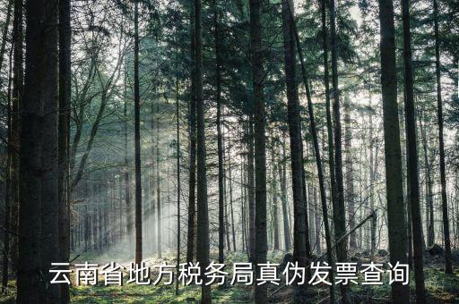 如何查詢?cè)颇蠂?guó)稅發(fā)票真?zhèn)尾樵?，云南省地方稅?wù)局真?zhèn)伟l(fā)票查詢