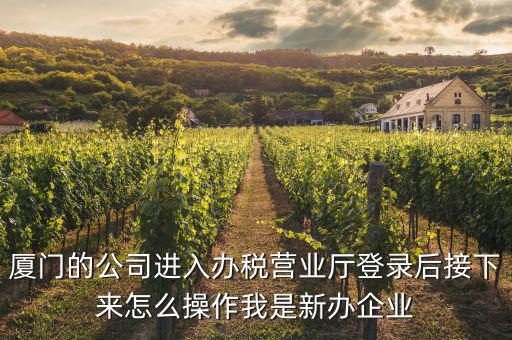 廈門公司如何辦理稅務(wù)，廈門公司如何申請(qǐng)一般納稅人