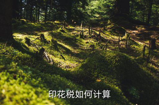 廈門印花稅如何計算器，印花稅如何計算