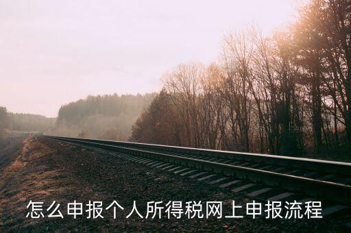 泉州個(gè)人所得稅如何網(wǎng)上申報(bào)，個(gè)人所得稅網(wǎng)上申報(bào)步驟