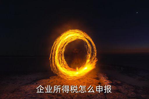安徽省企業(yè)月所得稅如何申報，安徽省企業(yè)的企業(yè)所得稅是按照什么標準交