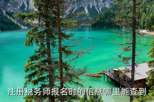 如何查詢注冊(cè)稅務(wù)師信息，注冊(cè)稅務(wù)師報(bào)名時(shí)的信息哪里能查到