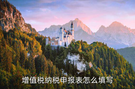 增值稅納稅申報(bào)表如何填，增值稅申報(bào)表如何填寫(xiě)