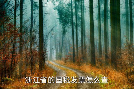 浙江國(guó)稅發(fā)票如何查詢，哪里可以查浙江增值稅專用發(fā)票的真?zhèn)挝以谡憬瓏?guó)稅網(wǎng)上查不到