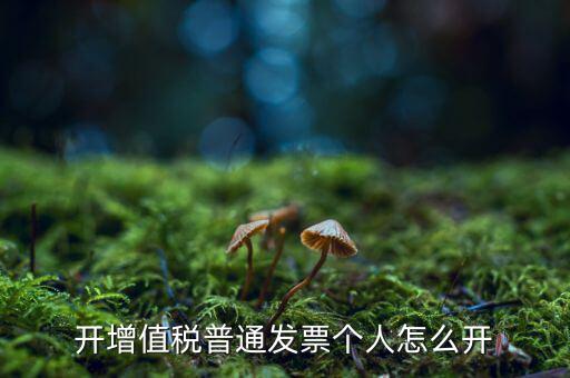 普票如何開(kāi)給個(gè)人，增值稅普通發(fā)票開(kāi)個(gè)人需要什么資料