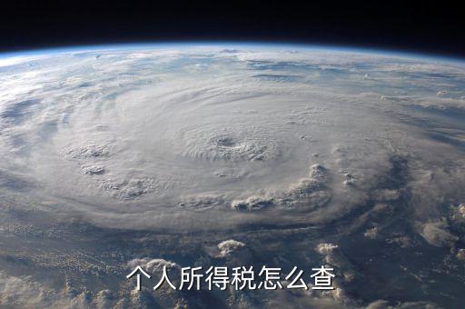 山東如何查詢個人所得稅查詢系統(tǒng)，個人所得稅怎么查詢