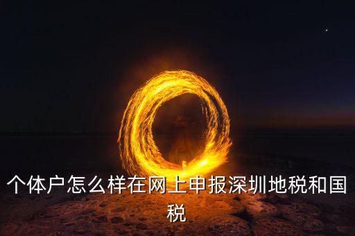 深圳市個(gè)稅如何申報(bào)系統(tǒng)，個(gè)體戶怎么樣在網(wǎng)上申報(bào)深圳地稅和國(guó)稅