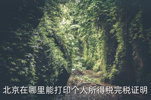 北京如何打個稅證明，北京買房 如何開個稅證明