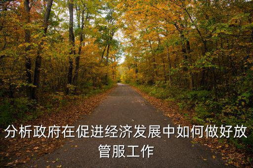 如何做好國稅系統(tǒng)的放管服工作，分析政府在促進經(jīng)濟發(fā)展中如何做好放管服工作