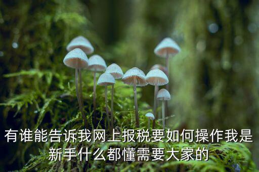 黑龍江如何報稅，黑龍江報稅