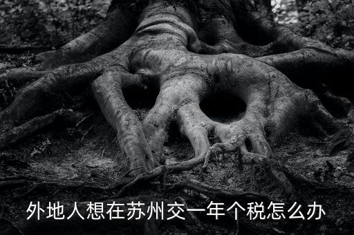 蘇州如何補(bǔ)繳個稅，外地人想在蘇州交一年個稅怎么辦