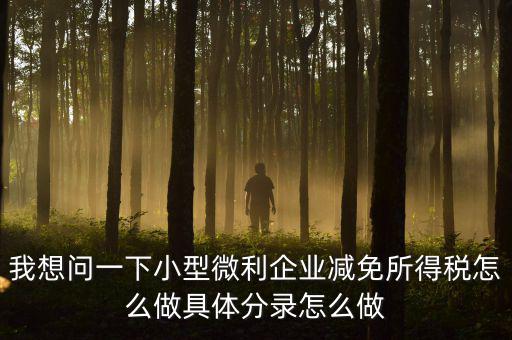 小微企業(yè)所得稅如何減免，我想問一下小型微利企業(yè)減免所得稅怎么做具體分錄怎么做