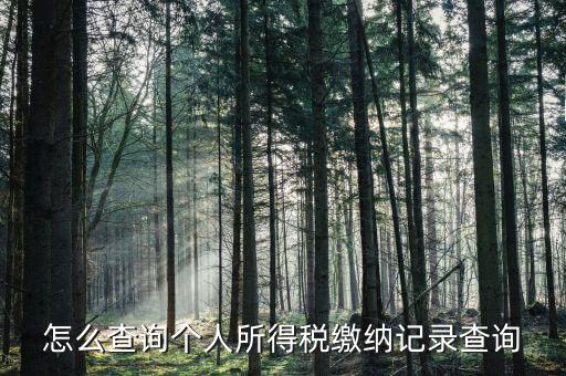 沈陽(yáng)如何查個(gè)人所得稅繳費(fèi)明細(xì)，如何查詢個(gè)人所得稅申報(bào)明細(xì)情況