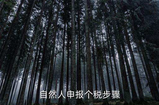 自然人稅收如何申報(bào)表，自然人申報(bào)個(gè)稅步驟