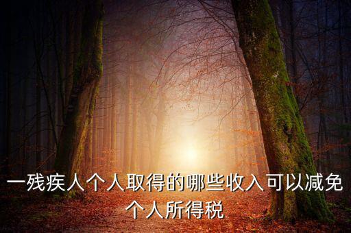 殘疾人減免個(gè)稅如何做賬，有殘疾人免稅證明在個(gè)人所得稅申報(bào)系統(tǒng)中如何填寫急