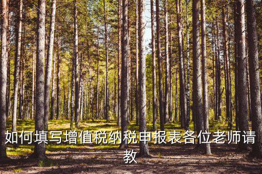 增值稅納稅申報(bào)表如何填報(bào)，增值稅申報(bào)表如何填寫(xiě)