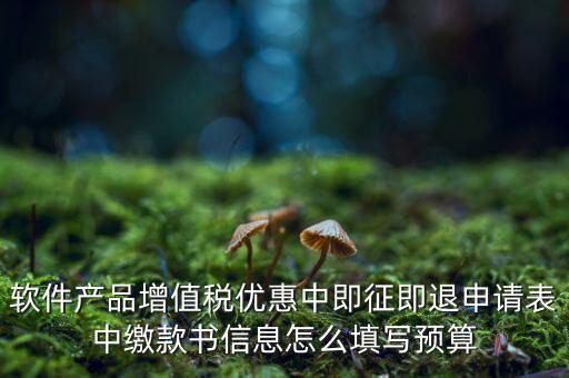即征即退的退稅申請表如何填寫，軟件產品增值稅優(yōu)惠中即征即退申請表中繳款書信息怎么填寫預算
