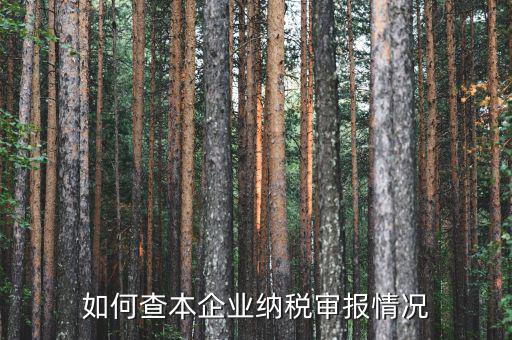 如何查詢公司納稅情況，如何查本企業(yè)納稅審報(bào)情況