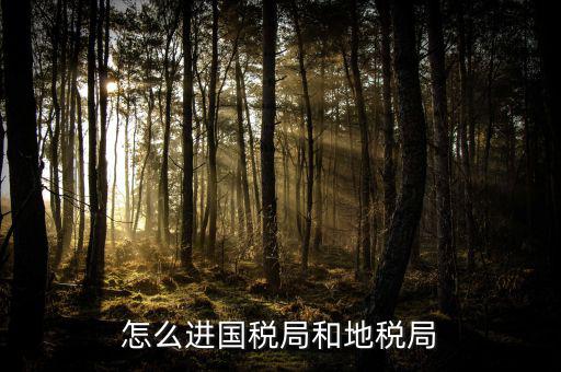 山西國稅系統(tǒng)如何進入地稅，怎么進國稅局和地稅局