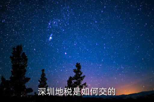 深圳市國(guó)家稅務(wù)局如何交稅，深圳市公司網(wǎng)上報(bào)國(guó)稅要這么操作啊
