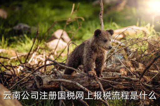 如何進(jìn)入云南網(wǎng)上稅務(wù)申報(bào)系統(tǒng)，如何進(jìn)行網(wǎng)上稅務(wù)申報(bào)