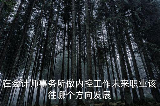 稅務內(nèi)控工作如何，如何搞好稅務所管理員內(nèi)控機制建設(shè)