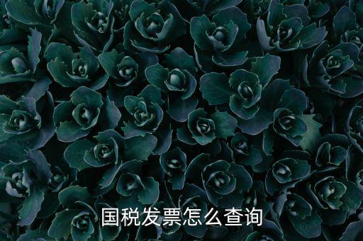 深圳市國(guó)稅局郵寄發(fā)票如何查詢，國(guó)稅發(fā)票怎么查詢