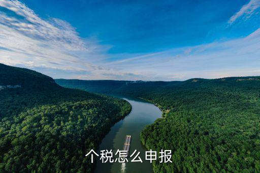 商業(yè)保險個稅如何申報，商業(yè)保險怎么可以抵扣個人所得稅