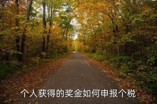 如何將獎金的稅款繳納至稅務(wù)局，個人獲得的獎金如何申報個稅
