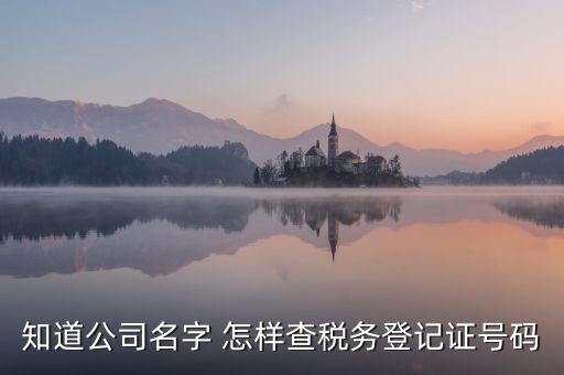 公司國稅編號如何查詢系統(tǒng)，公司的稅務(wù)登記證號怎么查詢