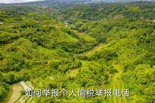 如何去稽查局 舉報電話，如何舉報個人偷稅舉報電話