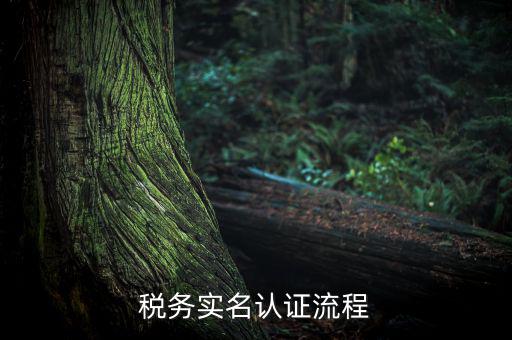 四川省稅務(wù)局如何實(shí)名采集信息，四川網(wǎng)上稅務(wù)局12366掌廳怎么實(shí)名采集掃哪個(gè)二維碼