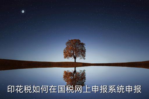 如何在網(wǎng)上申報(bào)安徽印花稅，如何在網(wǎng)上進(jìn)行印花稅的申報(bào)和繳納