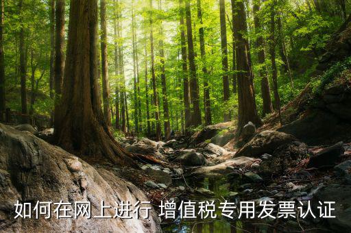 增值稅專用票如何在網(wǎng)上申請(qǐng)，購(gòu)買增值稅專用發(fā)票要先在網(wǎng)上怎么操作