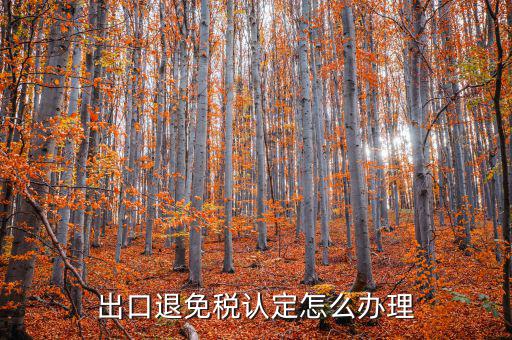 企業(yè)出口免退稅如何辦理，外貿(mào)公司出口免稅產(chǎn)品在出口退稅系統(tǒng)里面該如何辦理免稅申報