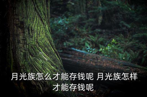 月光族怎么,月光氏族如何省錢(qián)?