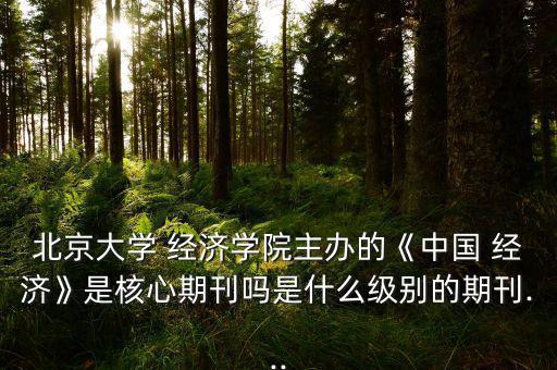 北京大學(xué) 經(jīng)濟(jì)學(xué)院主辦的《中國 經(jīng)濟(jì)》是核心期刊嗎是什么級(jí)別的期刊...