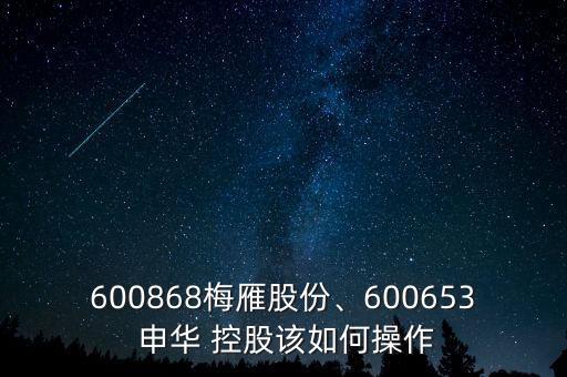 600868梅雁股份、600653 申華 控股該如何操作