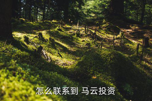 怎么像馬云貸款,沒有馬云時(shí)代，只有錢花時(shí)代怎么找投資人?