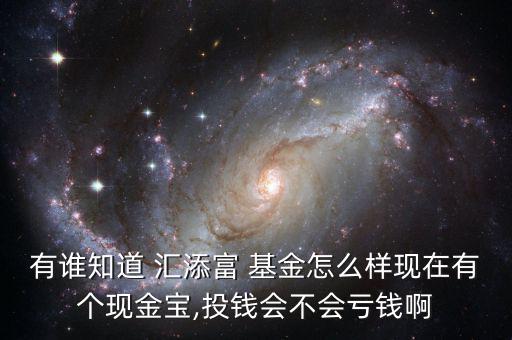 有誰(shuí)知道 匯添富 基金怎么樣現(xiàn)在有個(gè)現(xiàn)金寶,投錢會(huì)不會(huì)虧錢啊