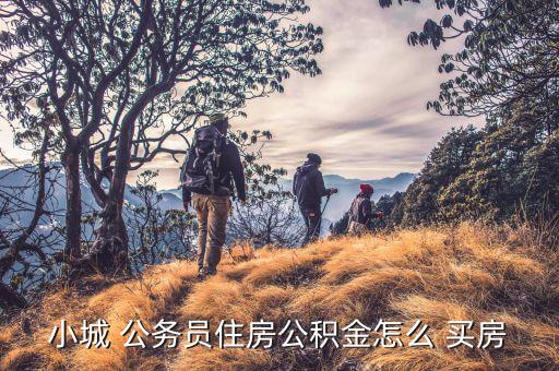 廣州公務(wù)員怎么買房,小鎮(zhèn)公務(wù)員或通過(guò)住房公積金貸款買房