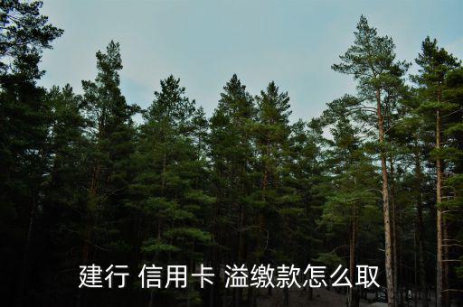 信用卡溢繳怎么辦,溢繳現已支付部分信用卡溢繳變?yōu)?/></a></span><span id=