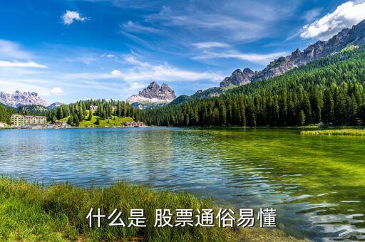 怎么懂股票,股票基礎(chǔ)、股票定投、投資書籍等資源免費(fèi)下載