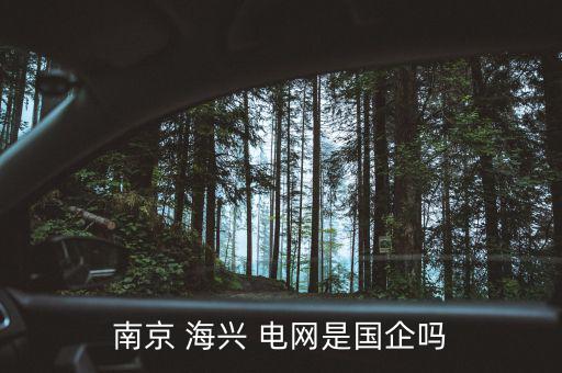 海興電網怎么樣,投資電力行業(yè)不會死國企
