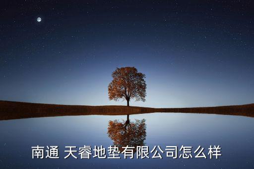 天?？臻g怎么樣,南通天睿電子有限公司注冊(cè)成立