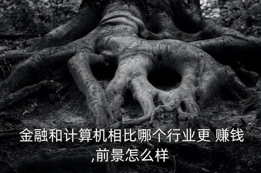 金融專業(yè)賺錢(qián)怎么樣,金融專業(yè)就業(yè)方向有哪些?
