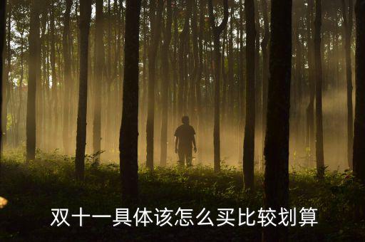 雙十一怎么省錢(qián),雙十買(mǎi)什么?記住三句話(huà)!